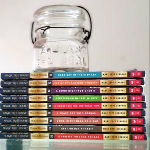 MERLIN MISSIONS BOOKS ## 11-20